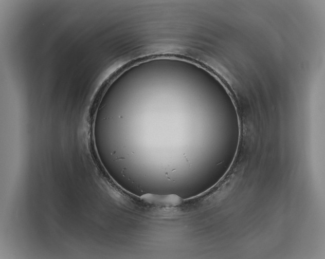 X0000111931119200908101136