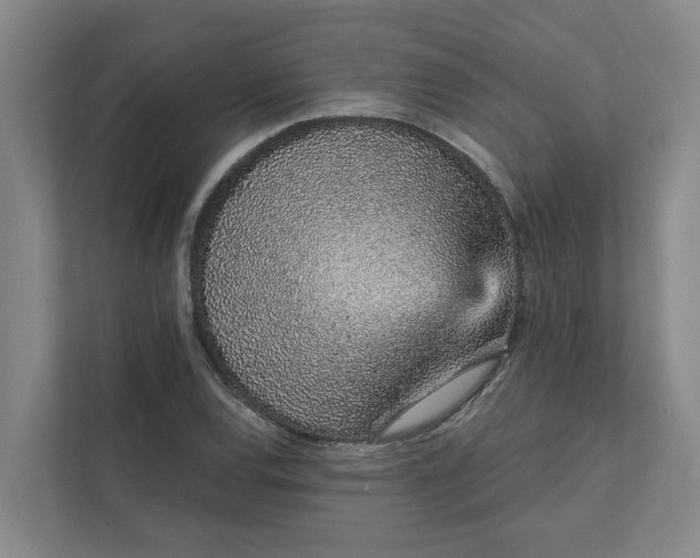 X0000111931120200908101136