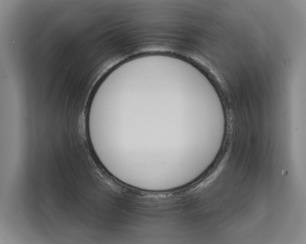 X0000111931121200908101136