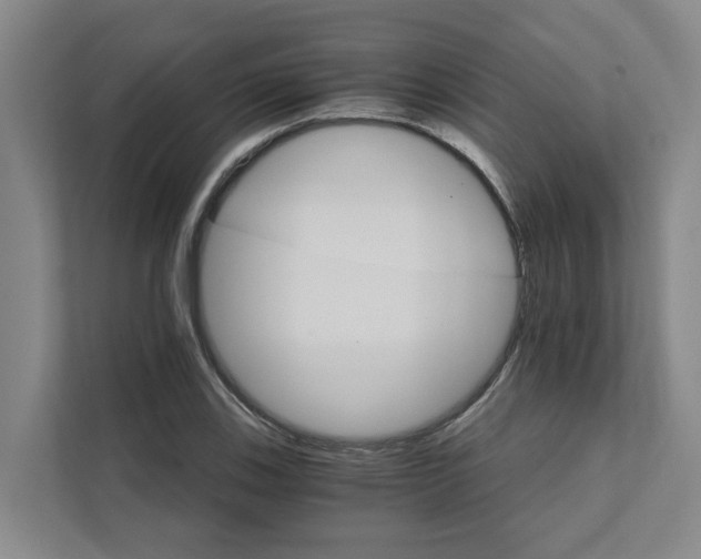 X0000111931123200908101136