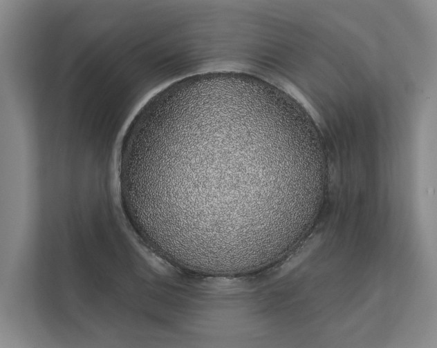 X0000111931124200908101136