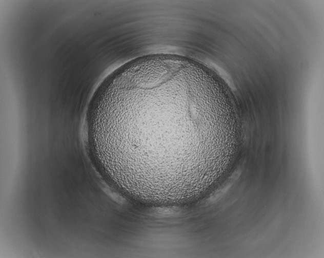 X0000111931125200908101136