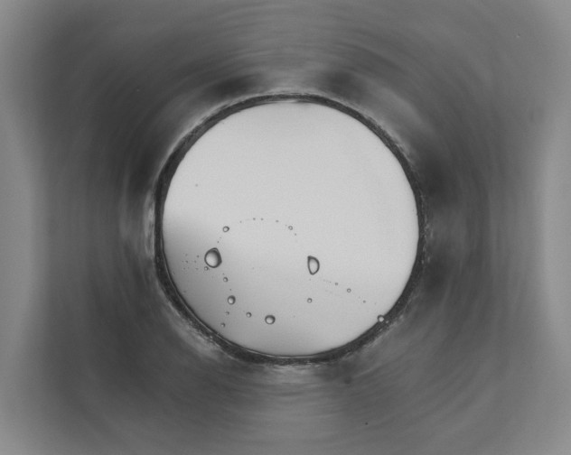 X0000111931126200908101136