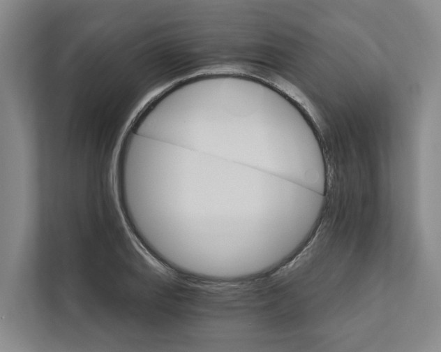 X0000111931127200908101136