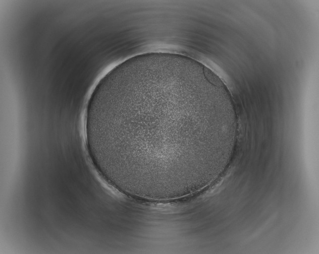 X0000111931128200908101136