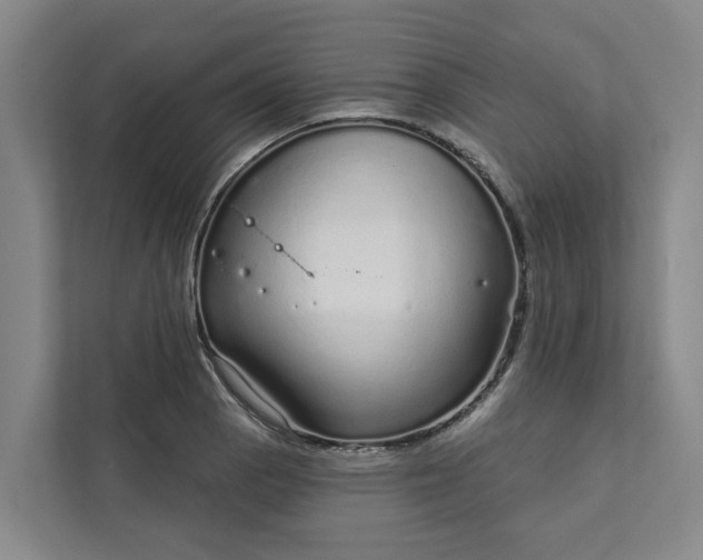 X0000111931129200908101136