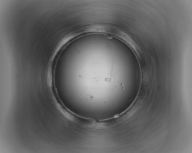 X0000111931131200908101136