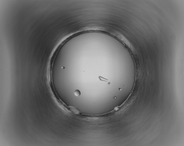 X0000111931132200908101136