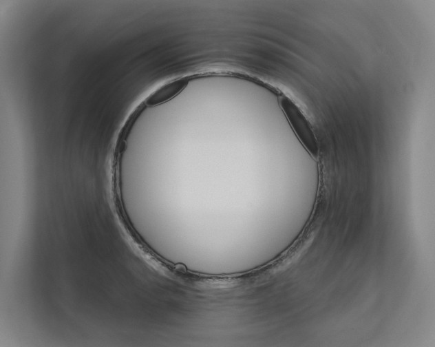 X0000111931134200908101136