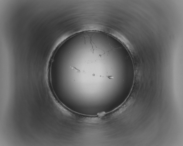 X0000111931135200908101136