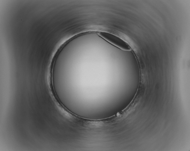 X0000111931136200908101136