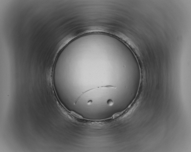 X0000111931137200908101136