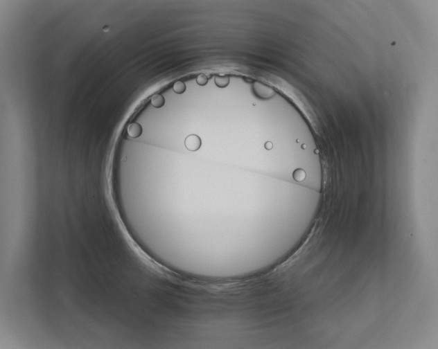 X0000111931139200908101136