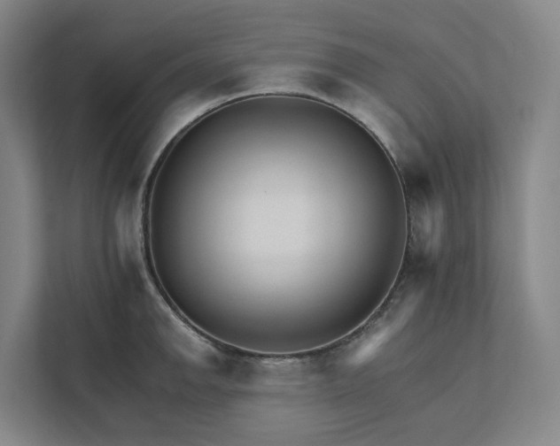 X0000111931142200908101136