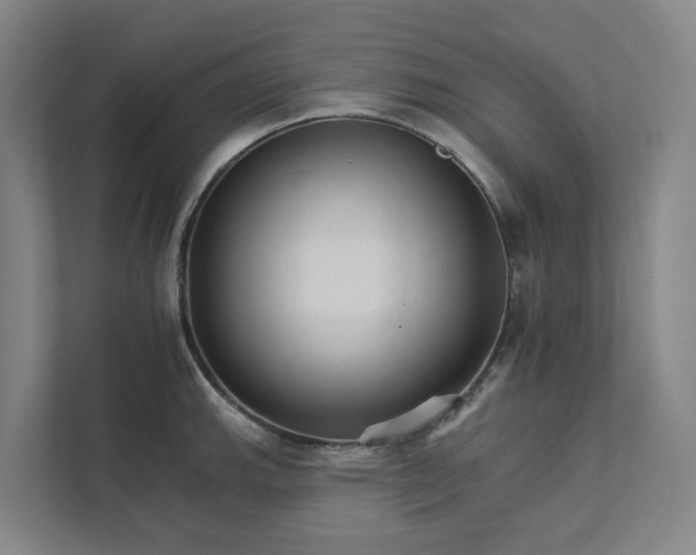 X0000111931143200908101136