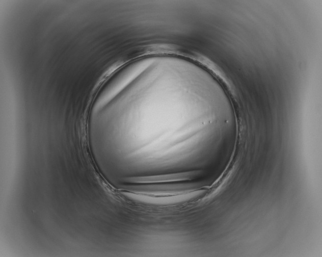 X0000111931145200908101137