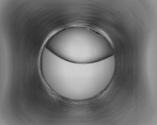 X0000111931146200908101137