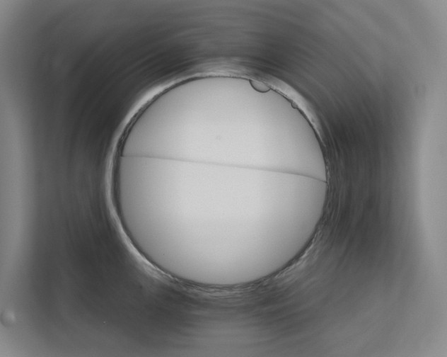 X0000111931147200908101137