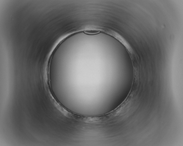 X0000111931148200908101137