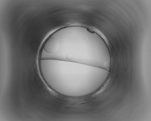 X0000111931149200908101137