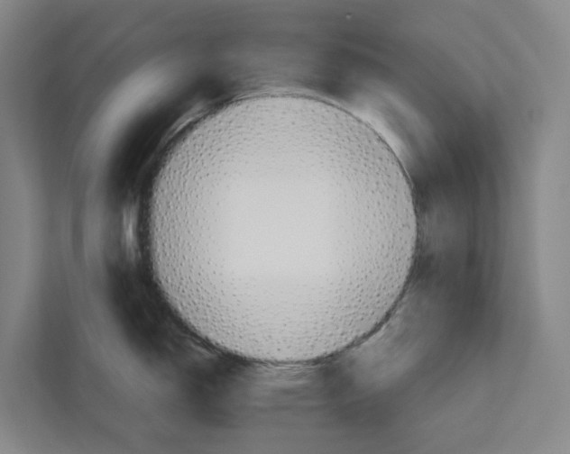 X0000111931150200908101137