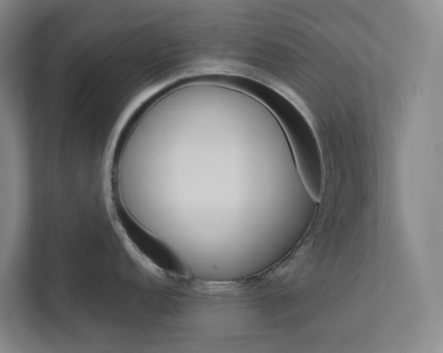 X0000111931152200908101137