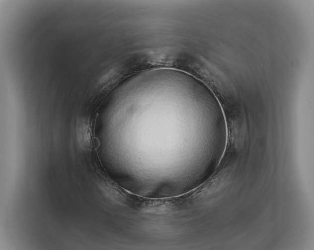 X0000111931154200908101136