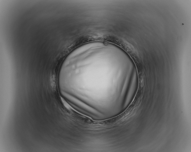 X0000111931156200908101136