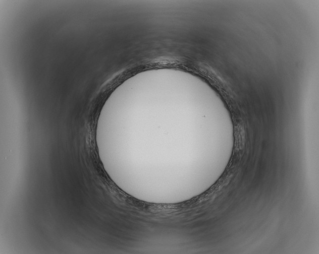 X0000111931158200908101136