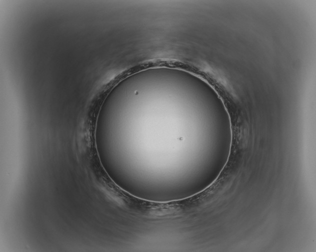 X0000111931159200908101136