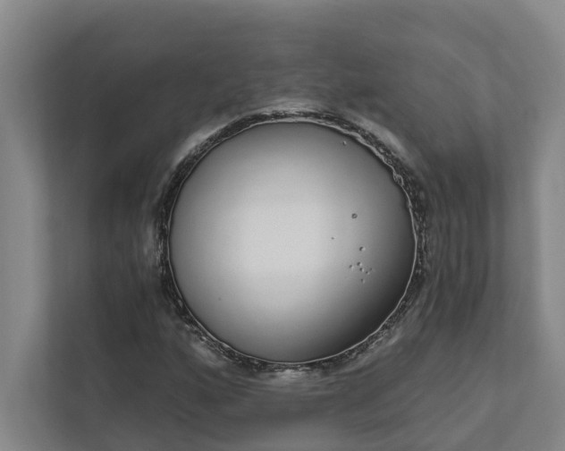 X0000111931160200908101136