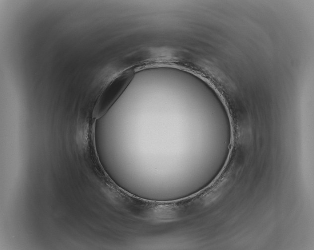 X0000111931161200908101136