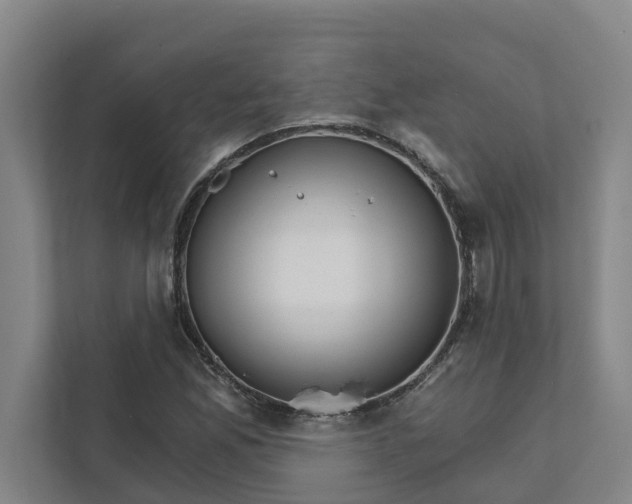 X0000111931165200908101136