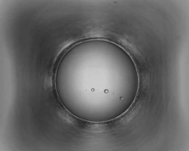 X0000111931166200908101136