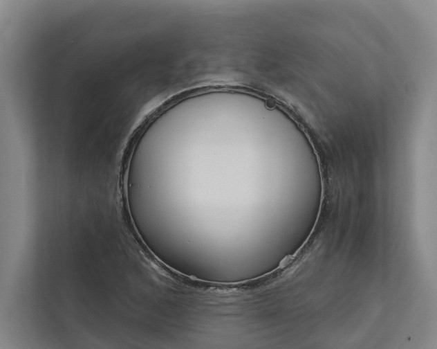 X0000111931168200908101136