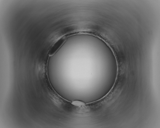 X0000111931169200908101136