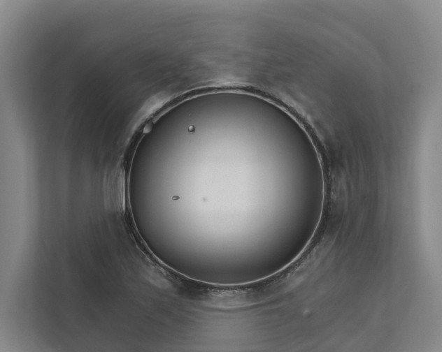 X0000111931171200908101136