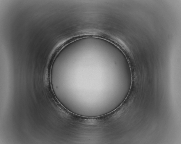 X0000111931172200908101136