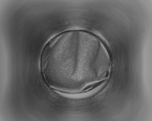 X0000111931173200908101136