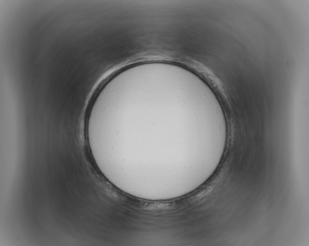 X0000111931174200908101136