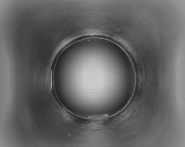 X0000111931175200908101136