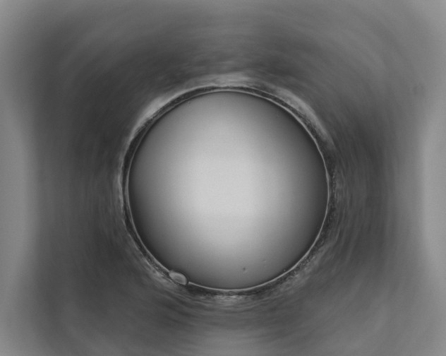 X0000111931176200908101136