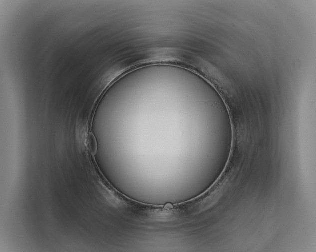 X0000111931177200908101136