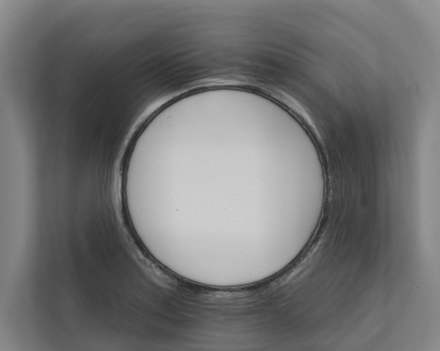 X0000111931179200908101136