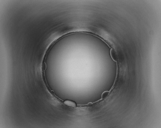 X0000111931181200908101136