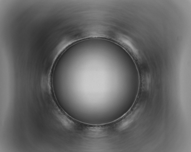 X0000111931182200908101136