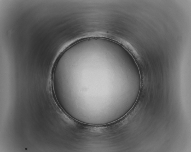 X0000111931184200908101136