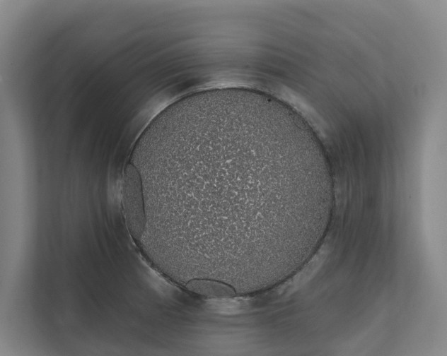 X0000111931185200908101136