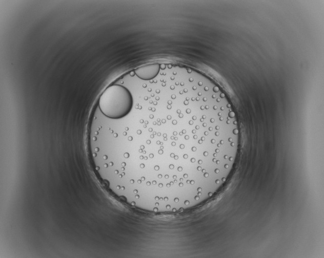 X0000111931186200908101136