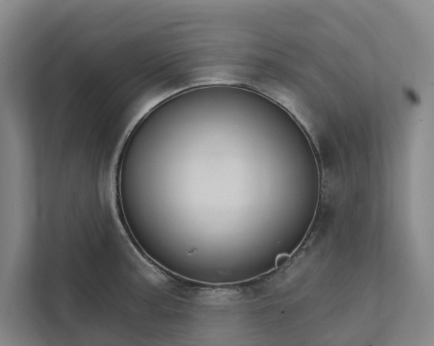 X0000111931187200908101136